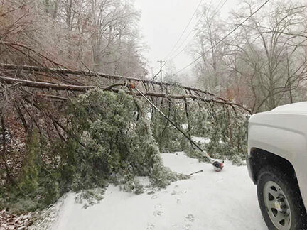 2-17 Ice Storm.jpg